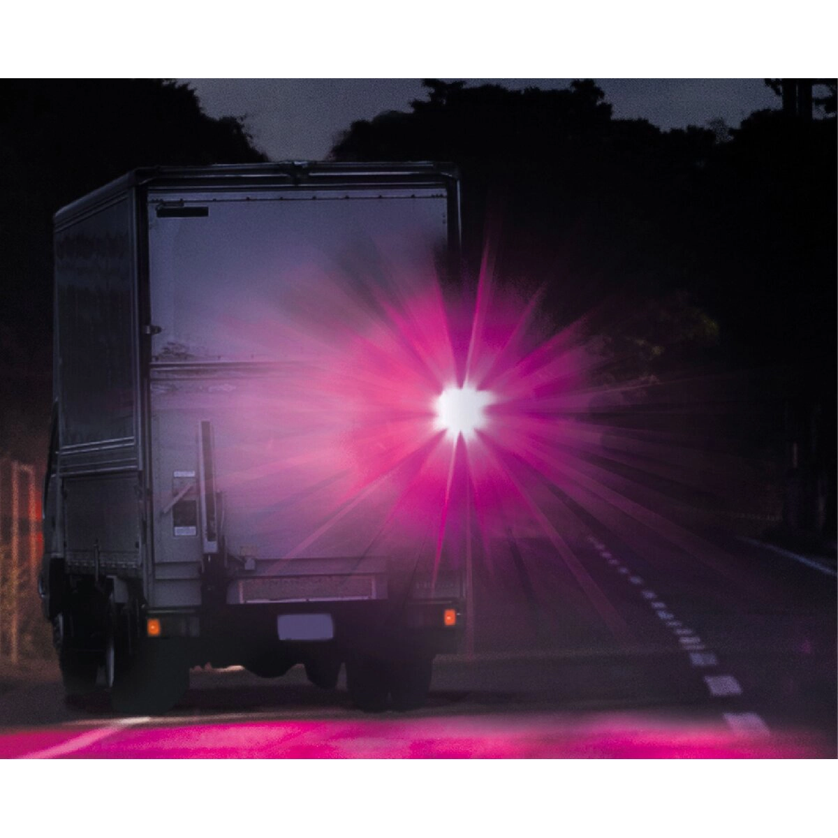 パープルセイバー PRO