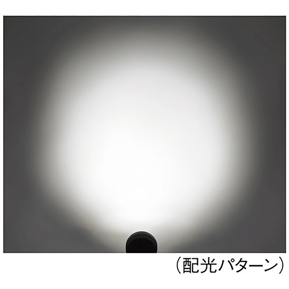 LEDワークランプ 6LED DC12～24V 防水