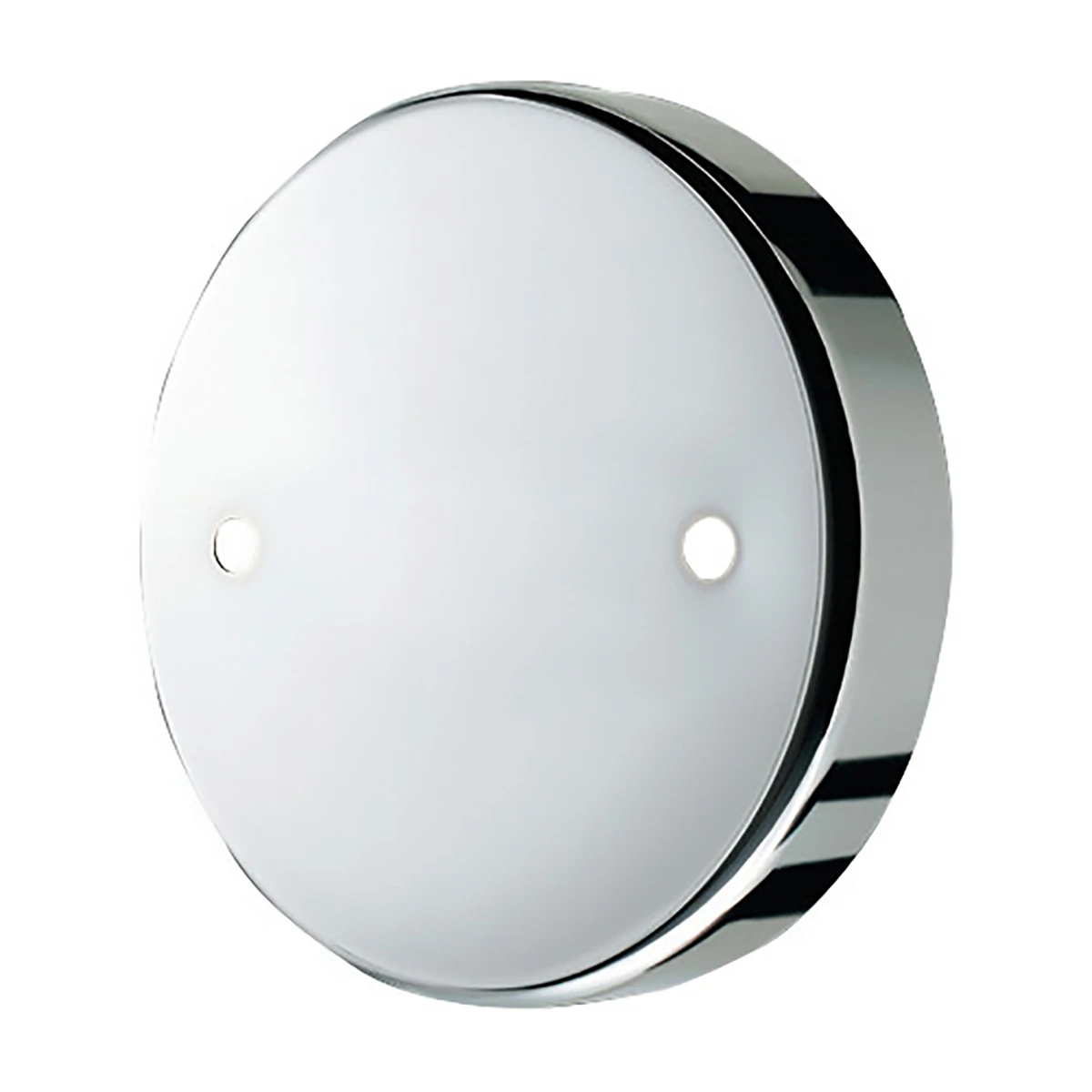 ホイルセンターキャップ 日野 大型トラック フロント 19.5インチ