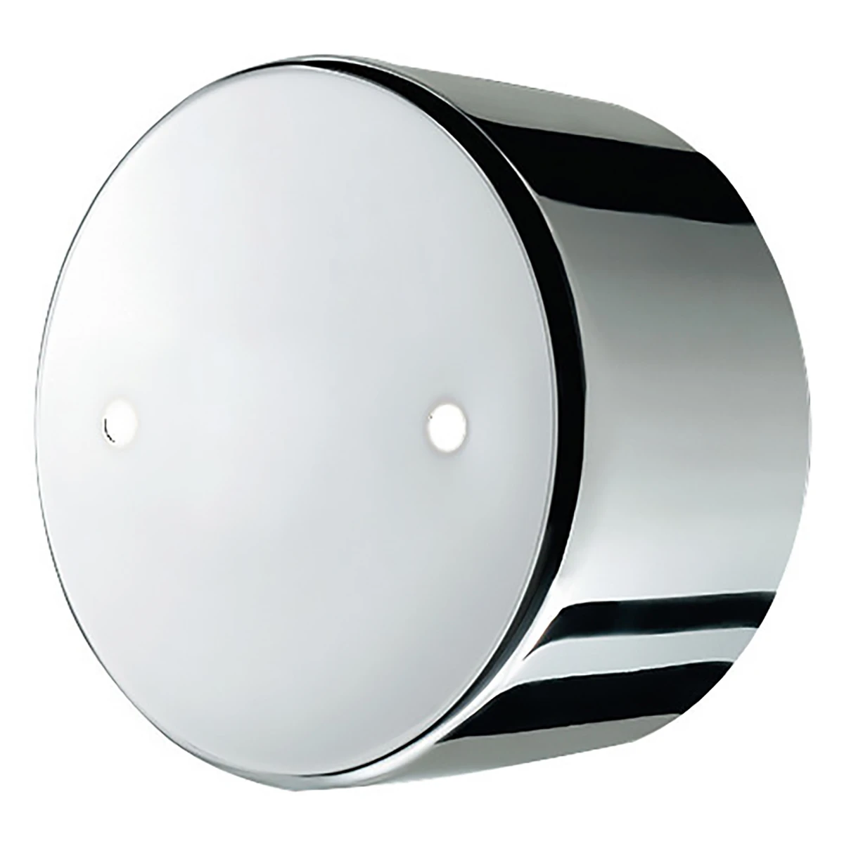 ホイルセンターキャップ 日野 大型トラック リア 19.5インチ