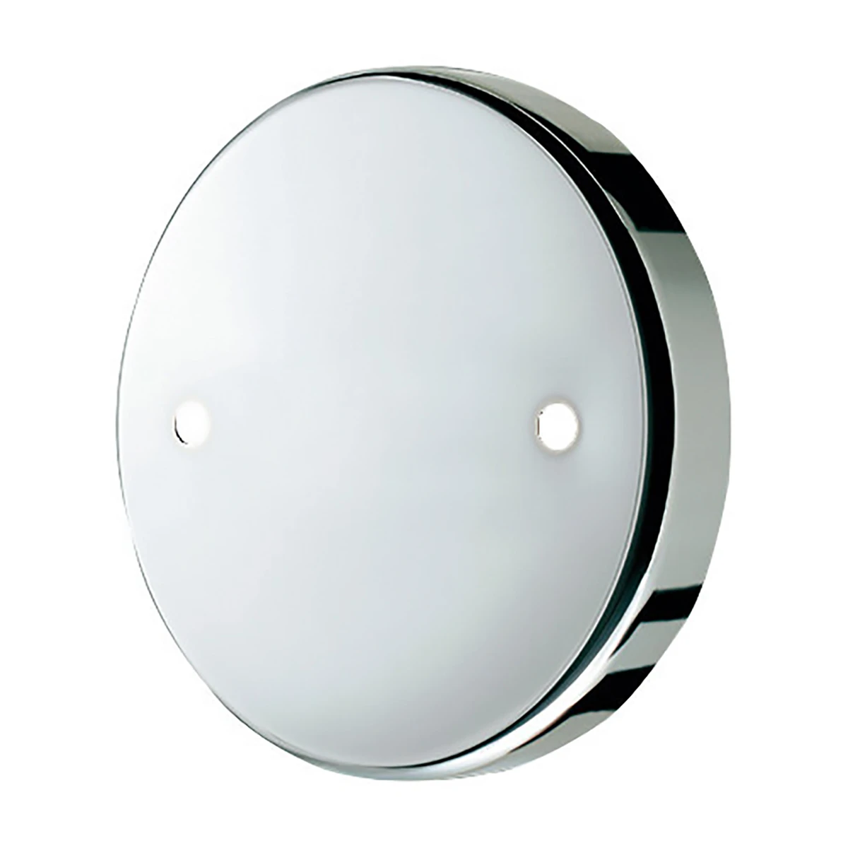 ホイルセンターキャップ いすゞ 大型トラック フロント 19.5インチ