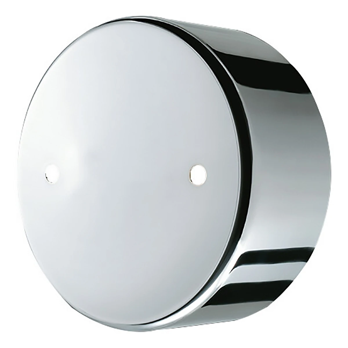 ホイルセンターキャップ いすゞ 大型トラック リア 19.5インチ