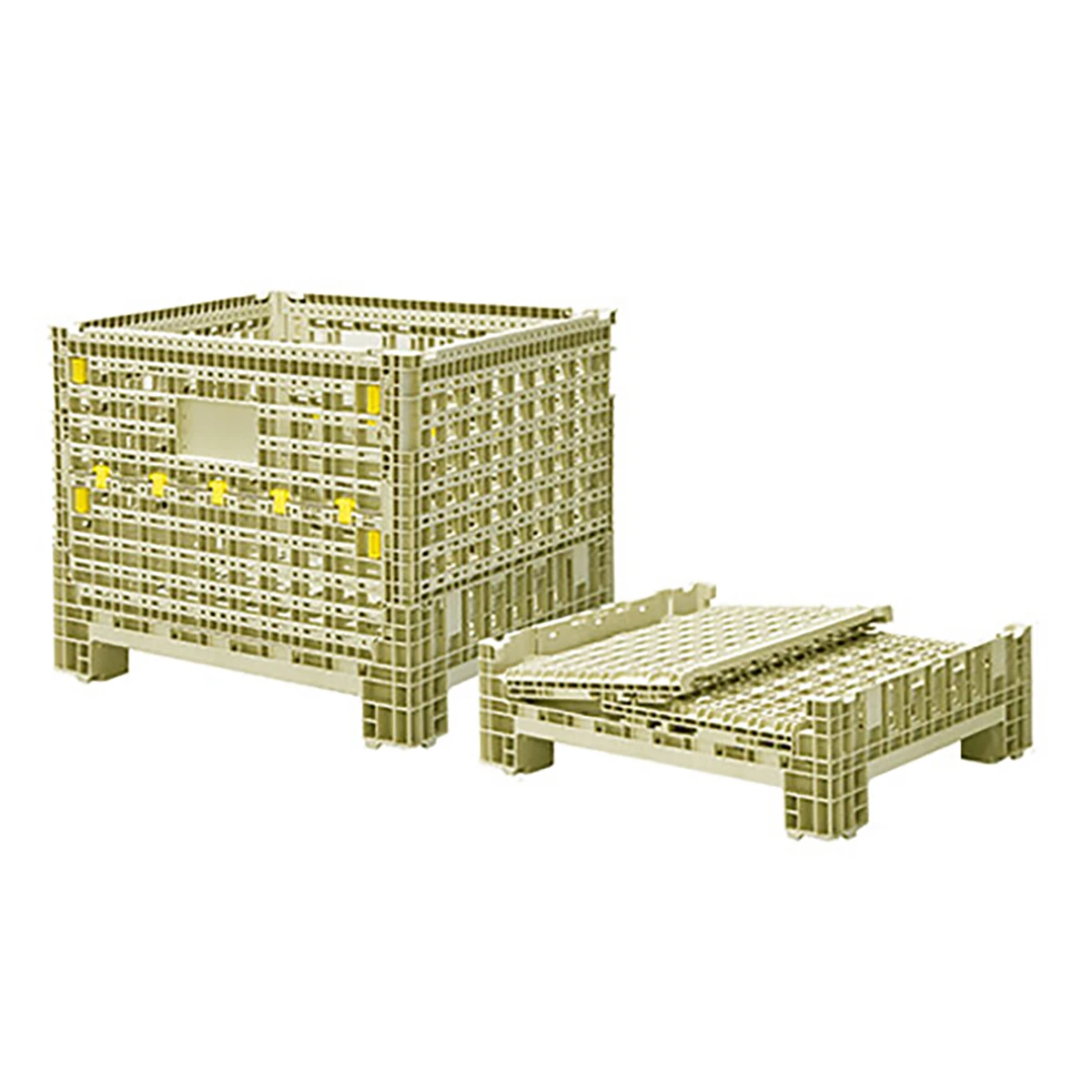 TL コンパレッタ