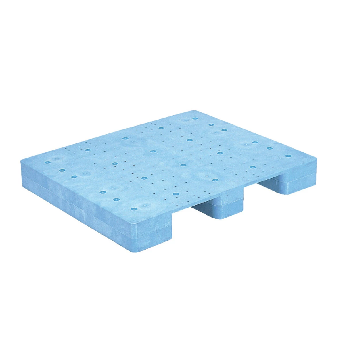 パレット 1201×1004