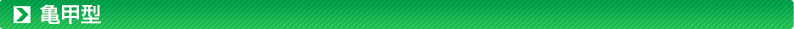 亀甲型